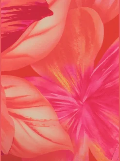 s.Oliver Maillots De Bain<Bas de maillot de bain taille haute design floral tendance