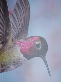 helline home Rideaux Et Stores<Joli store-bateau