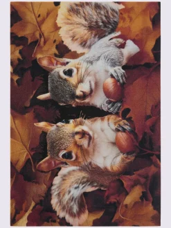 Tapis|Paillassons<Paillasson 2 tailles