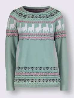 Pulls<Pull à manches longues pur coton